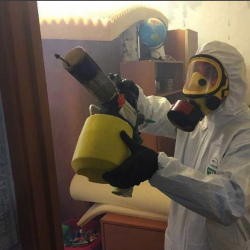Уничтожение клопов в квартире. Чадан